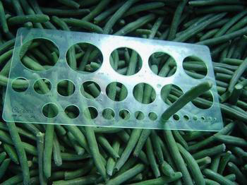 green beans fresh|Canned Vegetables|