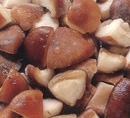 frozen mushrooms|Frozen line|