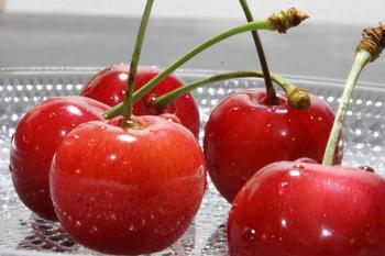 Canned cherries|Canned Fruits|