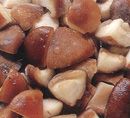 frozen mushrooms|Frozen line|