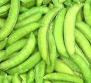 frozen greem beans|Frozen line|