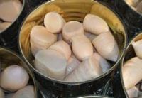 canned bamboo shoots|Canned Vegetables|
