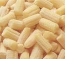 frozen young corn cuts|Frozen line|