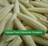 frozen young corn spears|Frozen line|